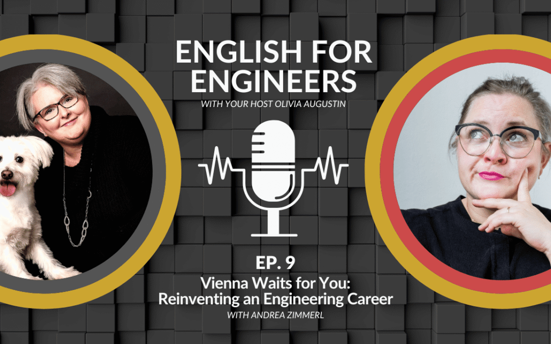 Vienna Waits for You: Reinventing an Engineering Career