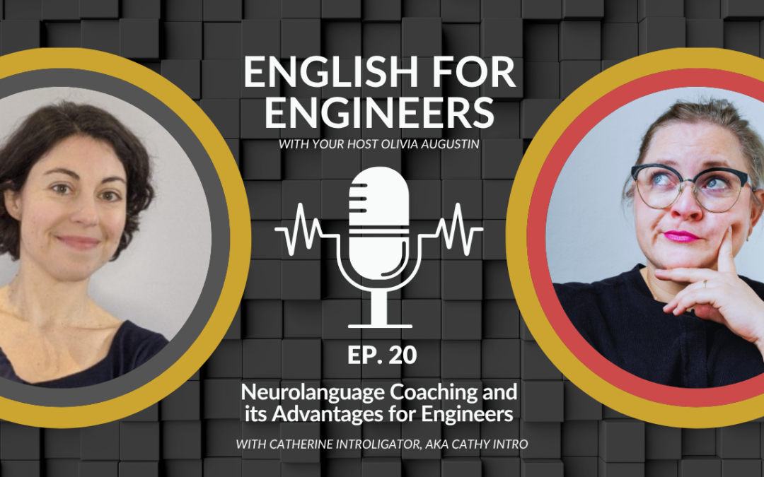 Neurolanguage Coaching and its Advantages for Engineers
